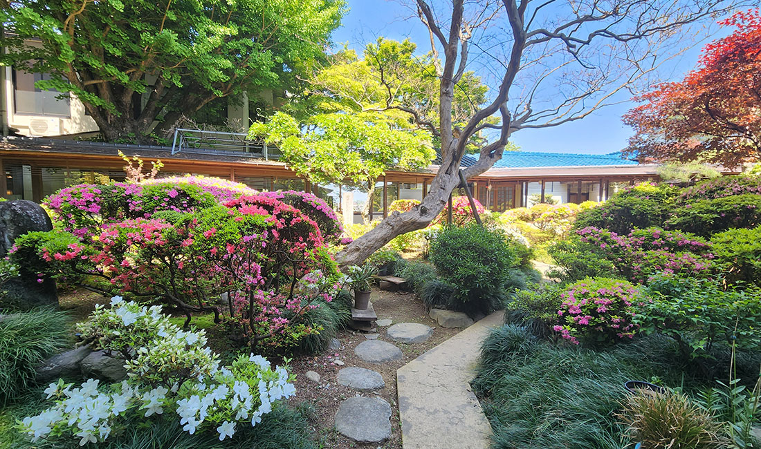 天空の丘ドッグラン