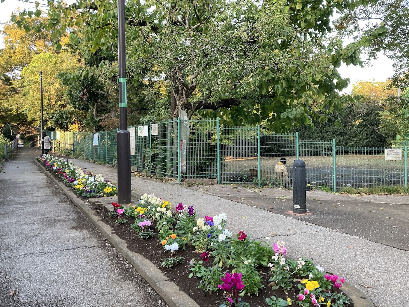 武蔵川公園 ドッグラン