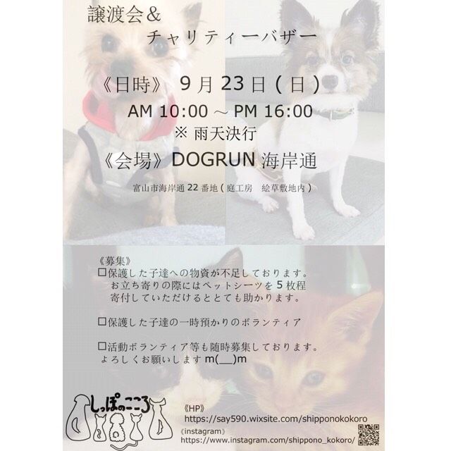 庭工房 絵草 ドッグラン海岸通り