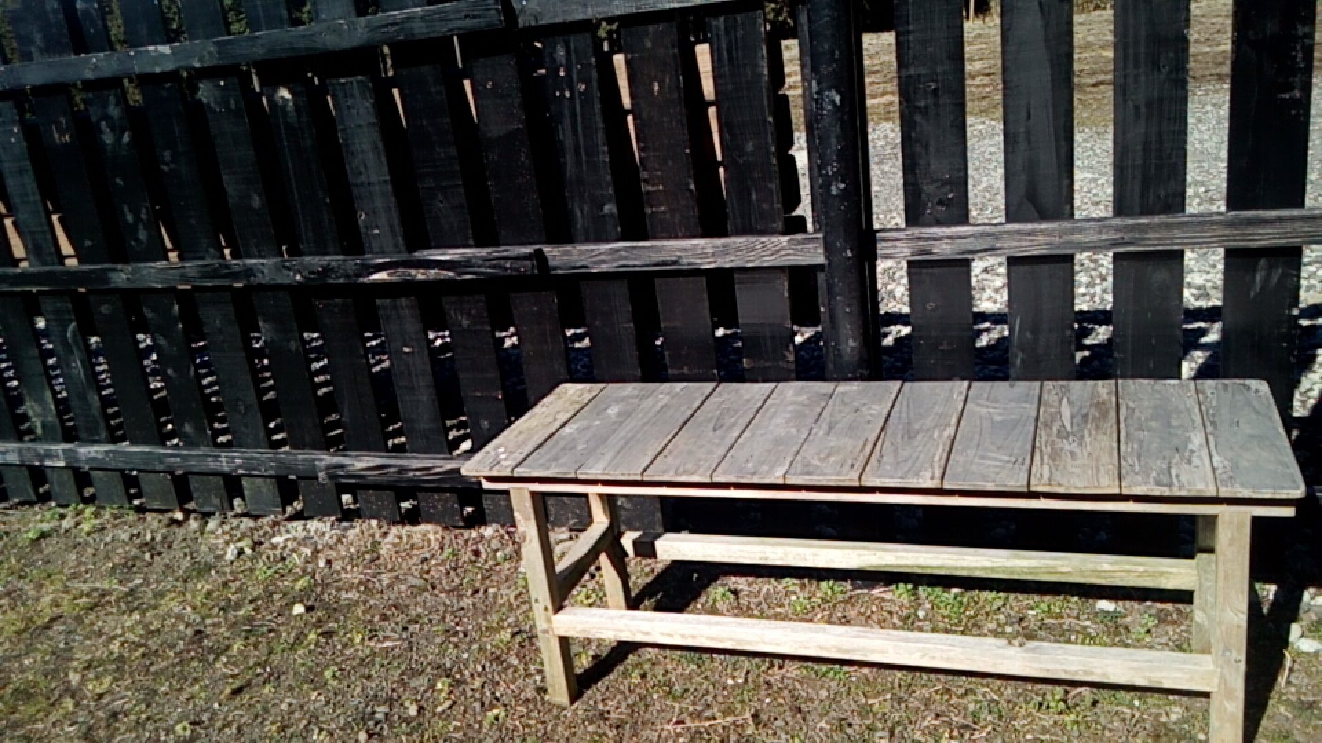 ドッグラン石原