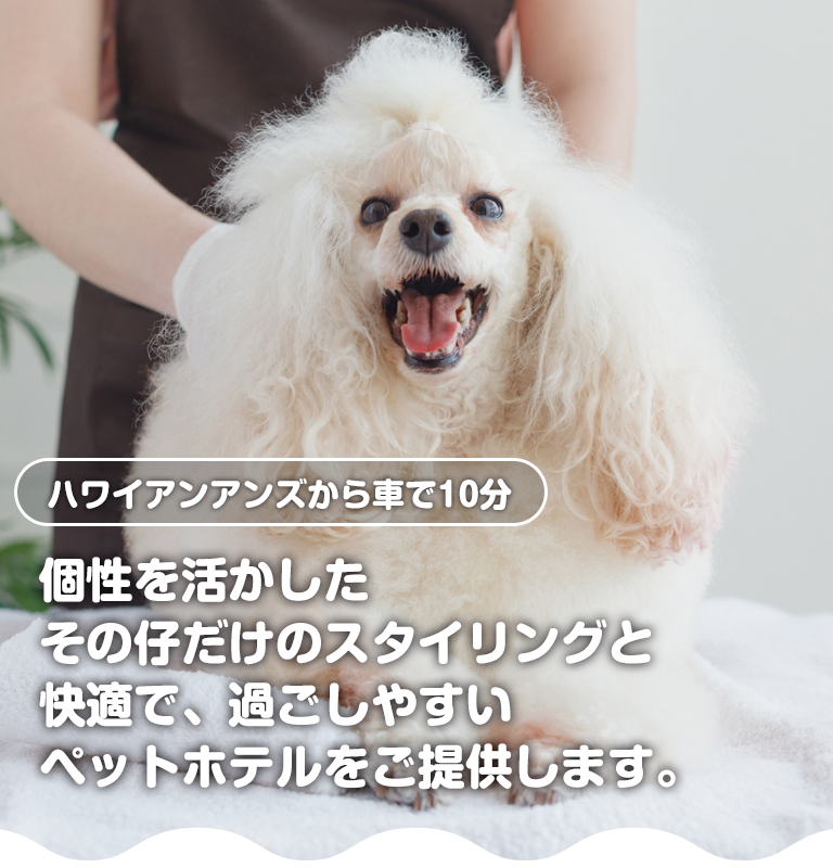 ペットホテルポチの家