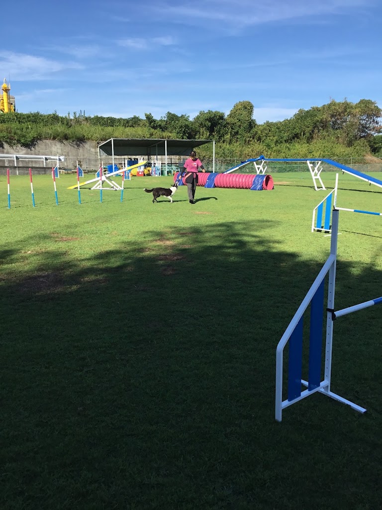 城山わんわん余暇ランド