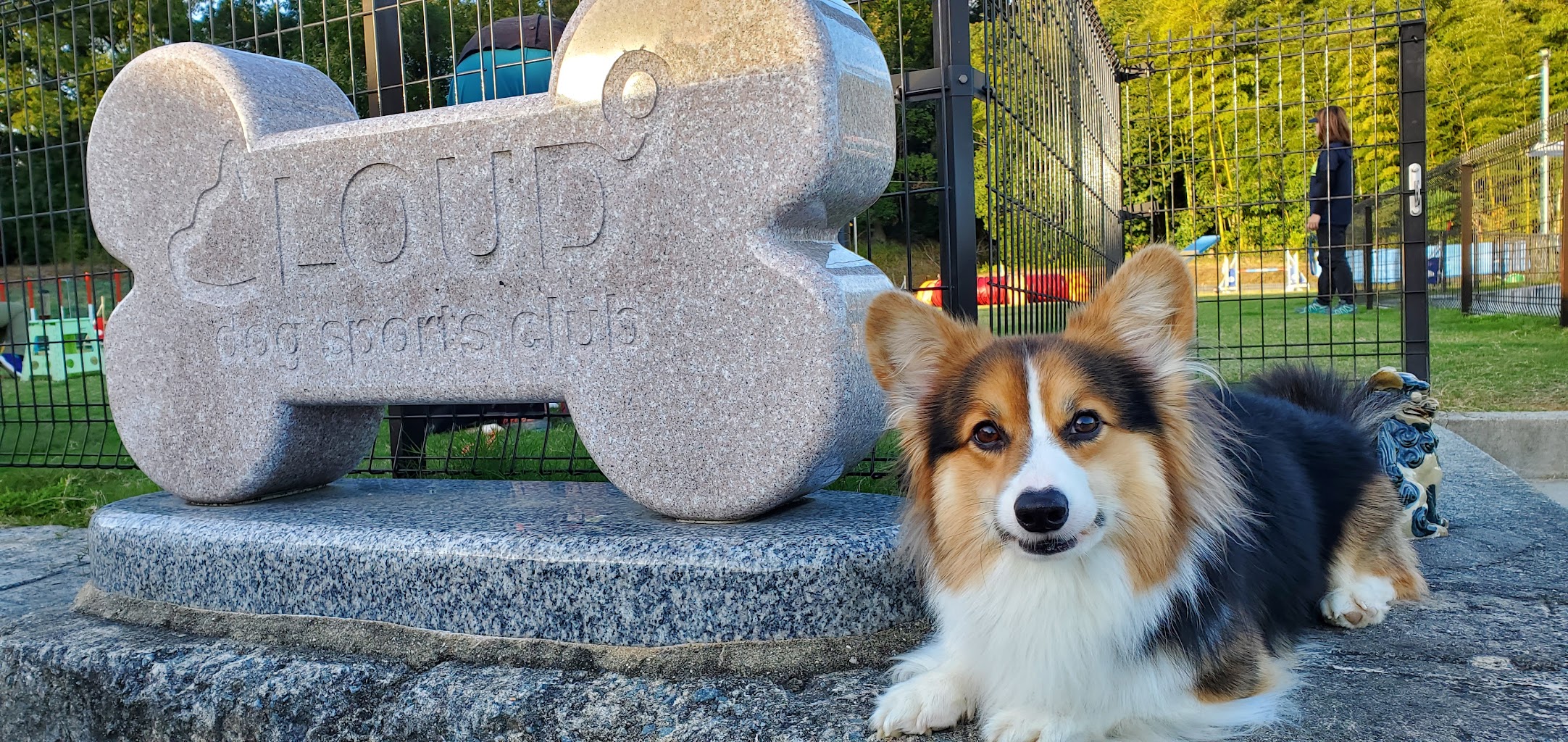 クラウドナイン