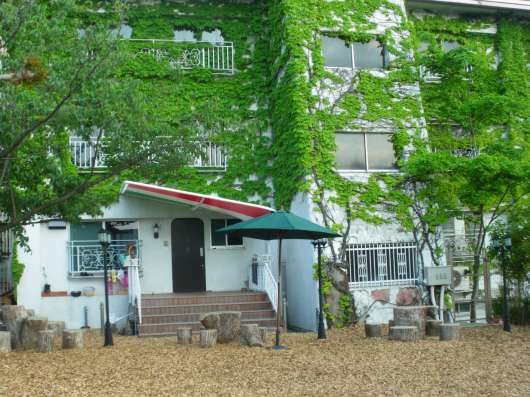 ドッグコート桜