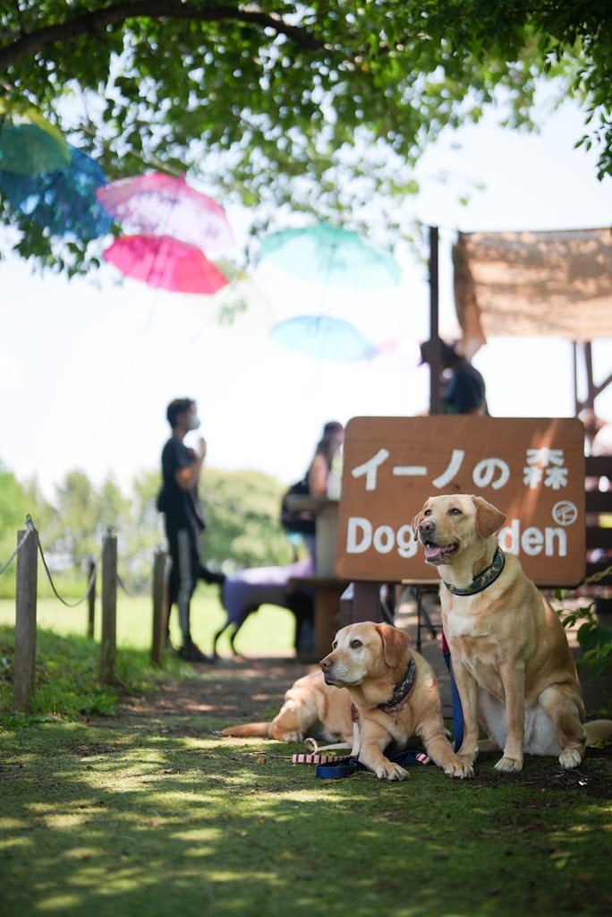 綱吉の湯　ドッグラン
