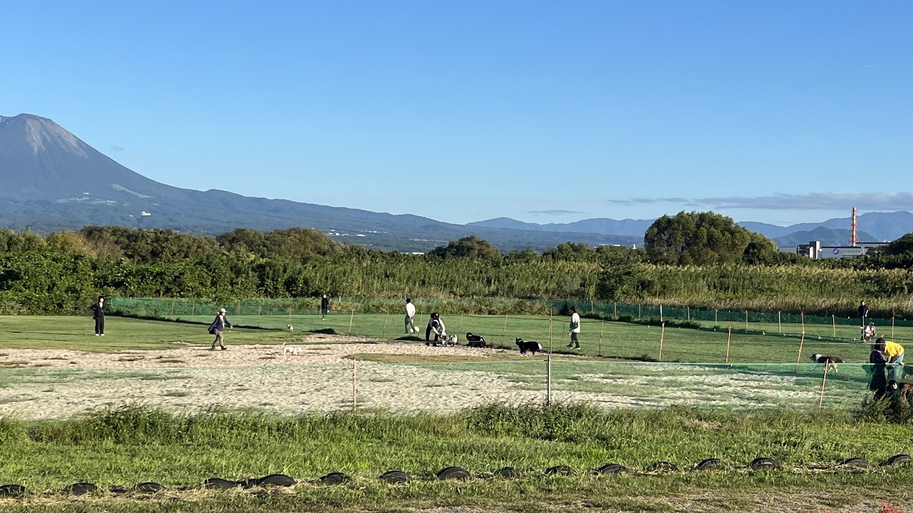 日野川運動公園ドッグラン