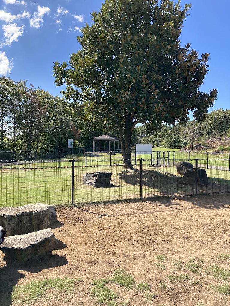 寄り道パーキング和気の岩 ドッグラン