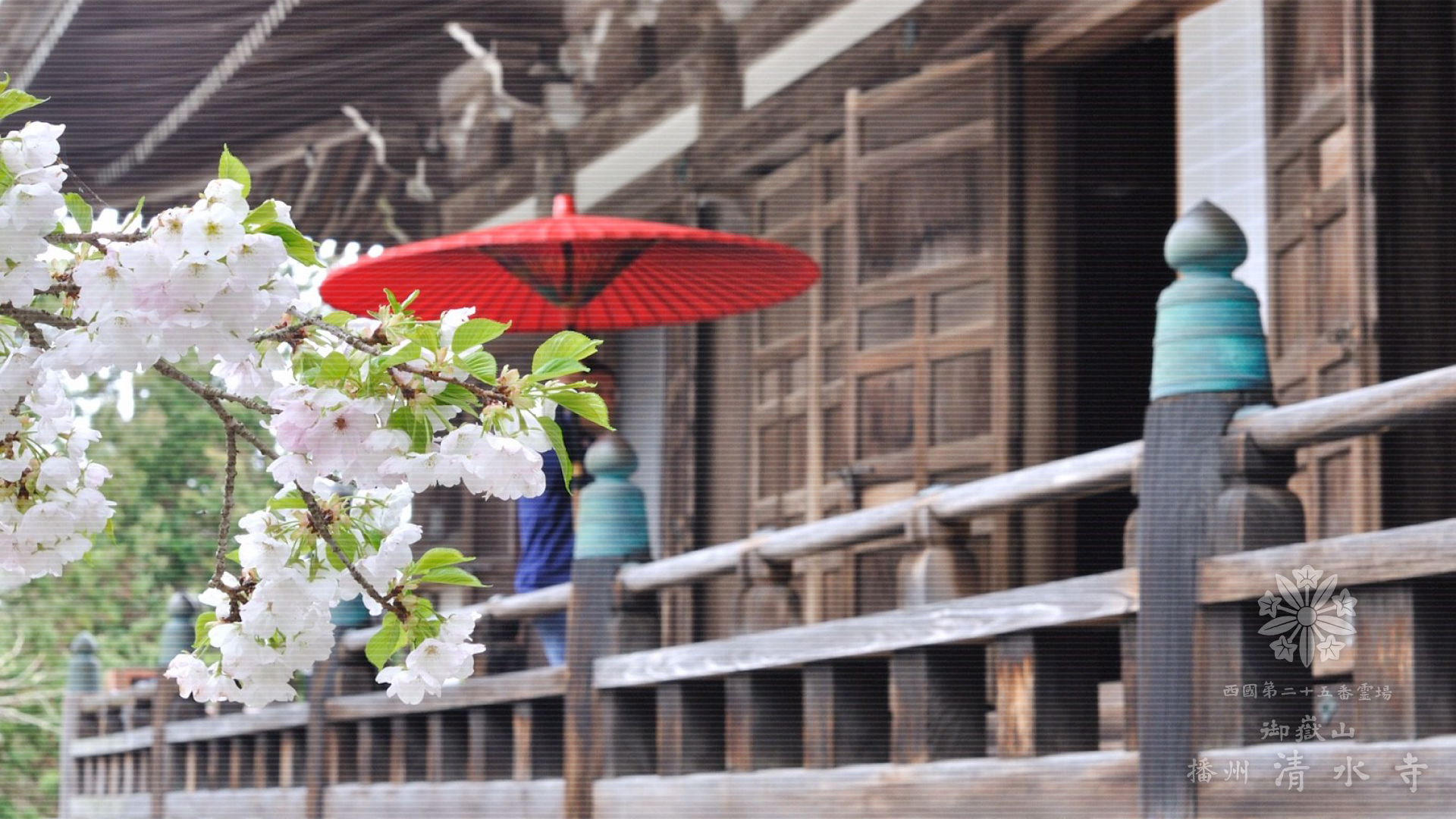 山のお寺のドッグラン