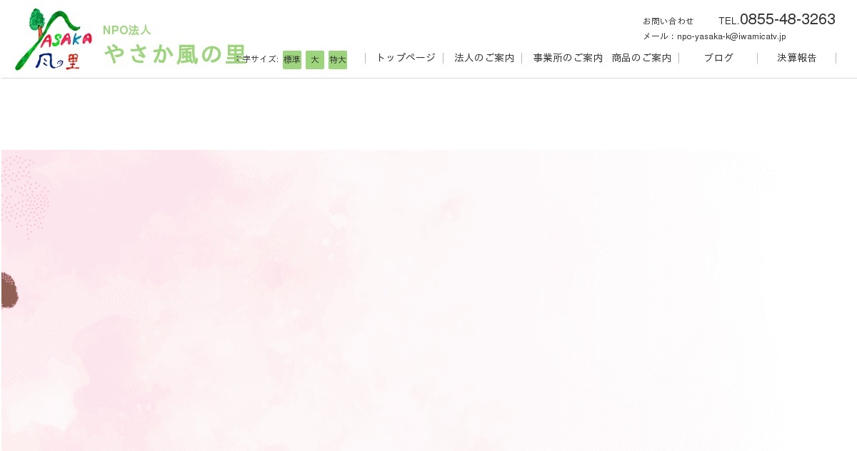 体験活動サポートセンターやさか村