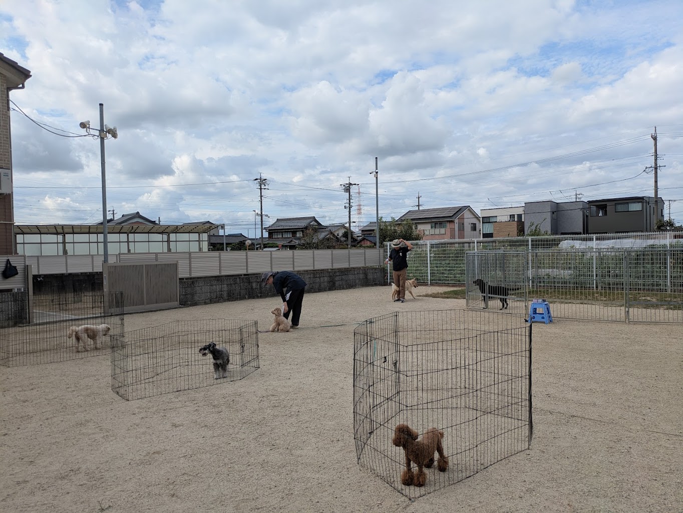 尾張・犬の学校