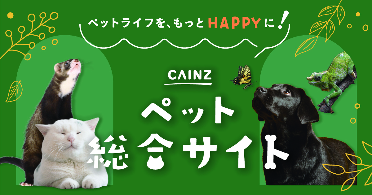 カインズ昭島店