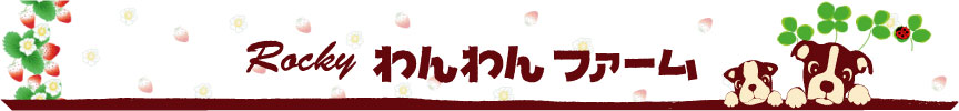 ロッキーわんわんファーム