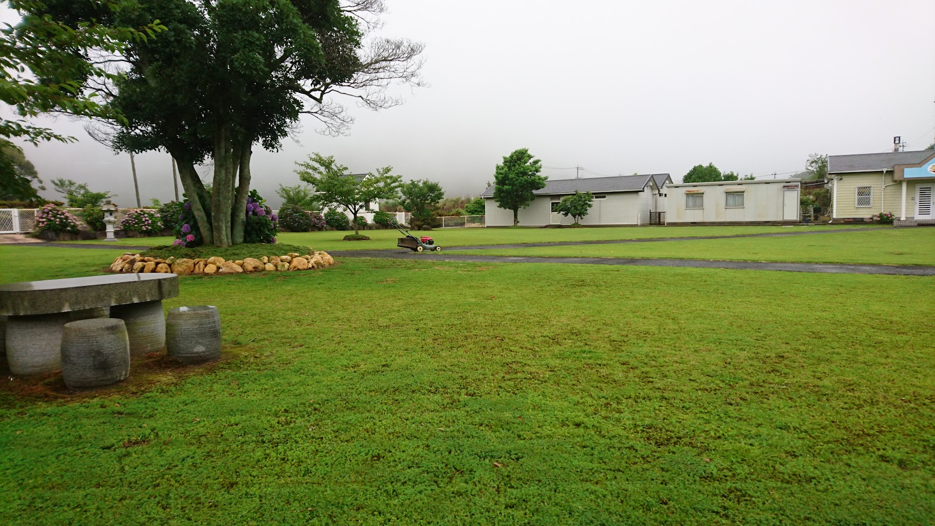 ドリーム合衆国