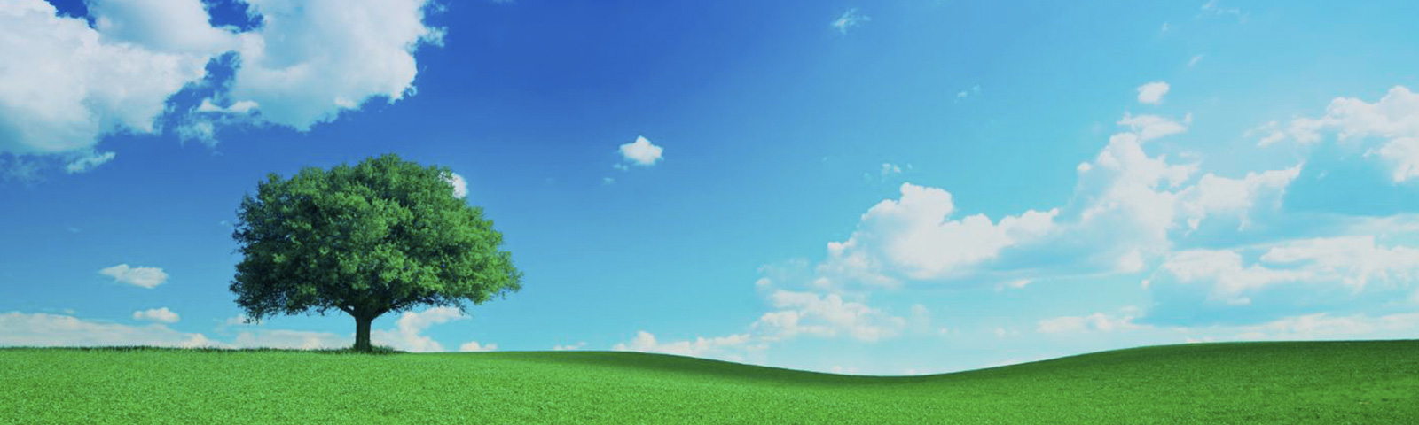 ケアペッツ盛岡