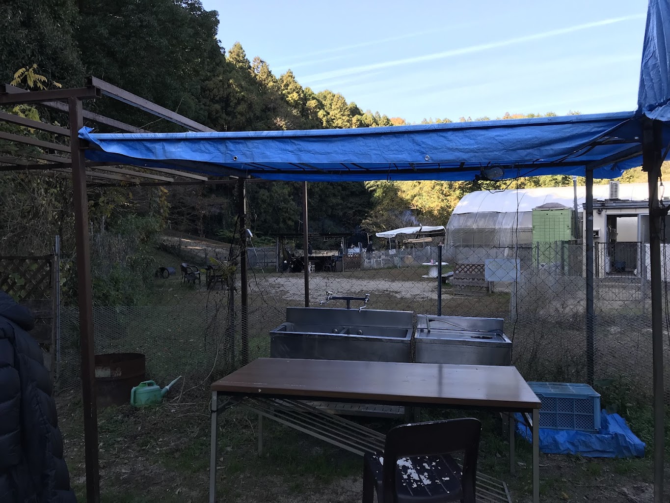 ドッグランフリーダム