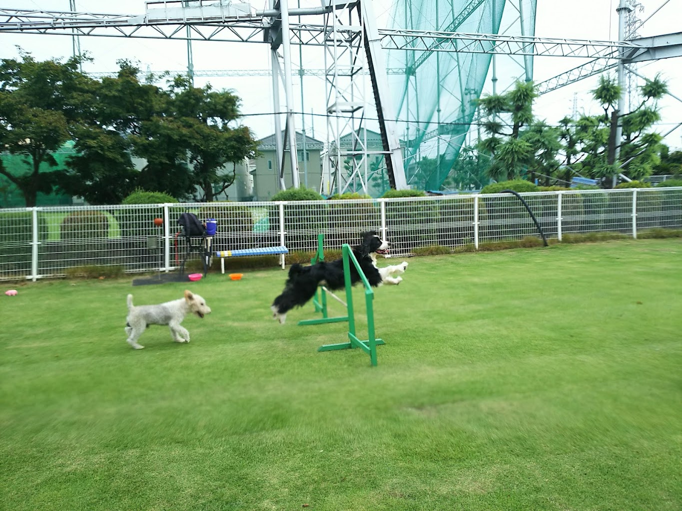 北本グリーンクロス