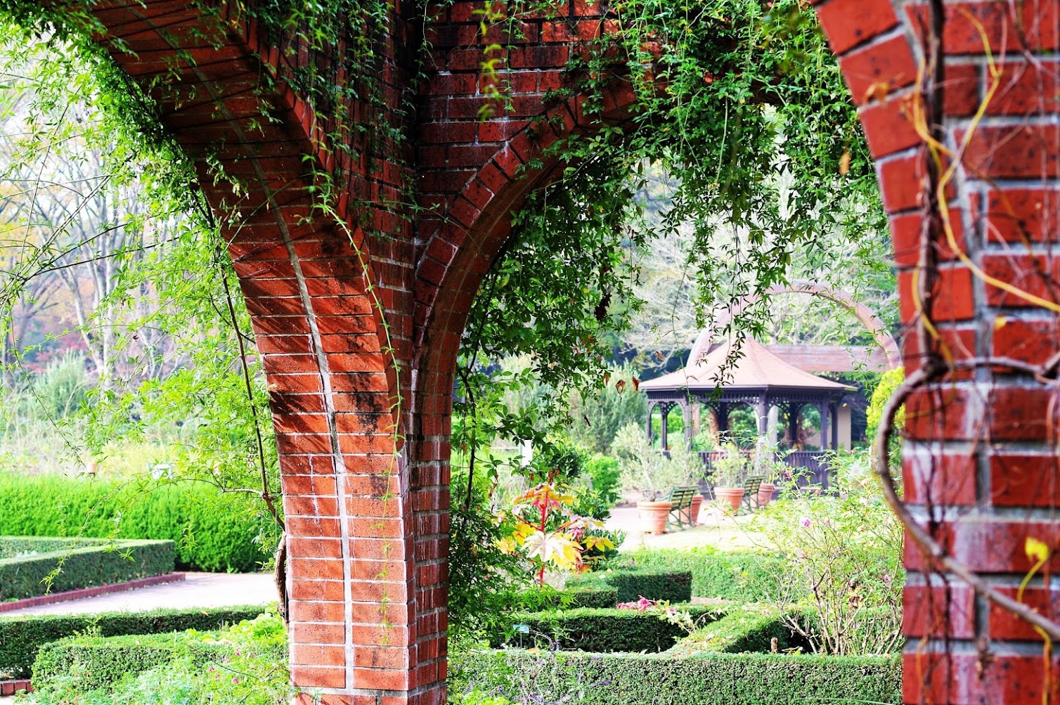 国営武蔵丘陵 森林公園