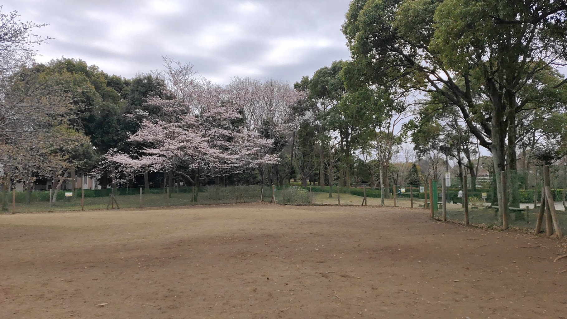 柏の葉ドッグラン