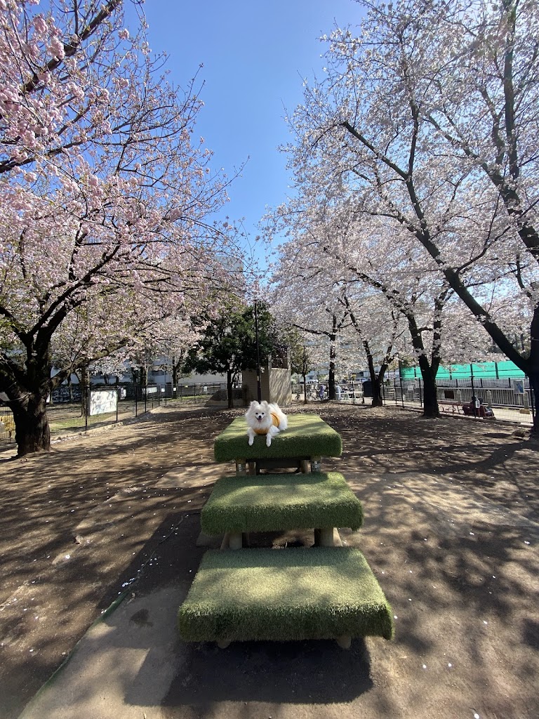 新宿区立落合公園 犬の広場