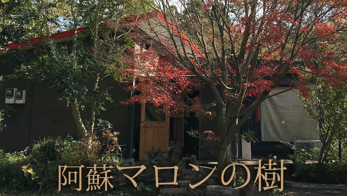 阿蘇マロンの樹