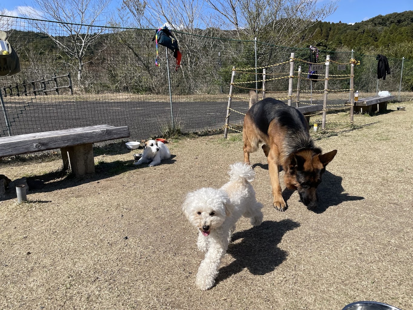 黒石岳森林公園