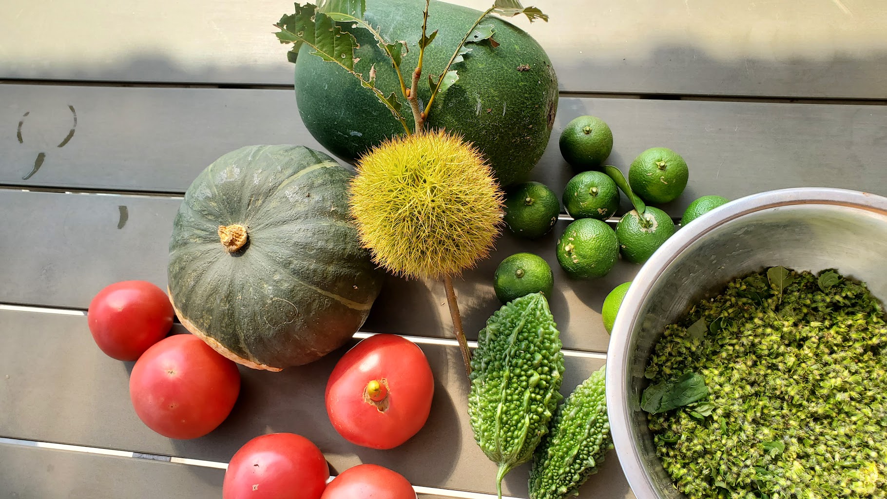 ドッグラン＆カフェ横芝光