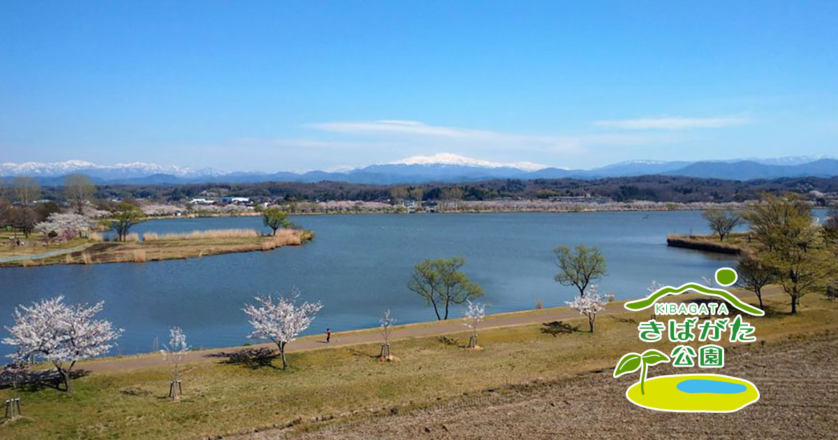 木場潟公園 ドッグラン