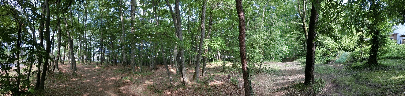 ルビーガーデン ハッピーワン