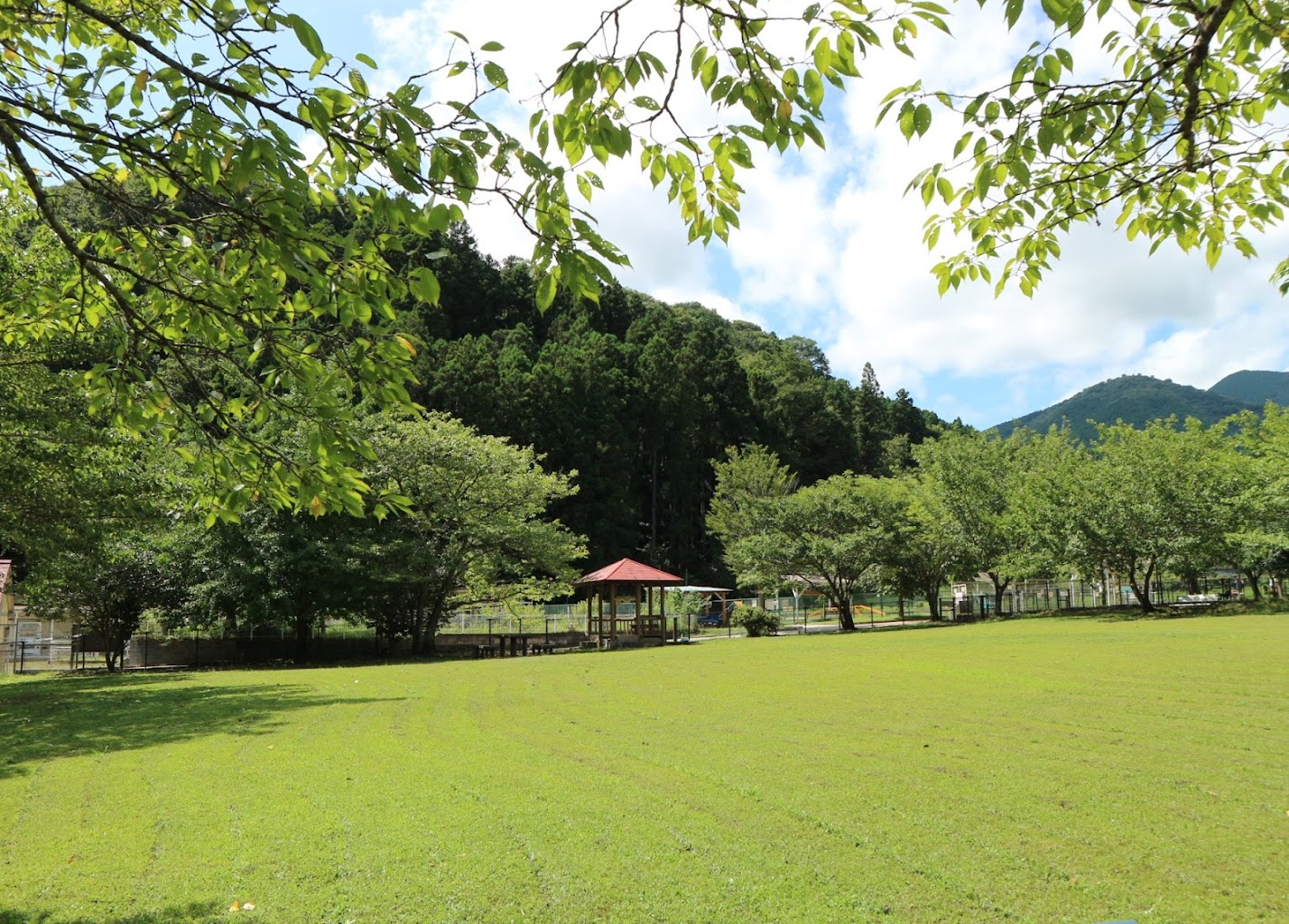 寄七つ星ドッグラン