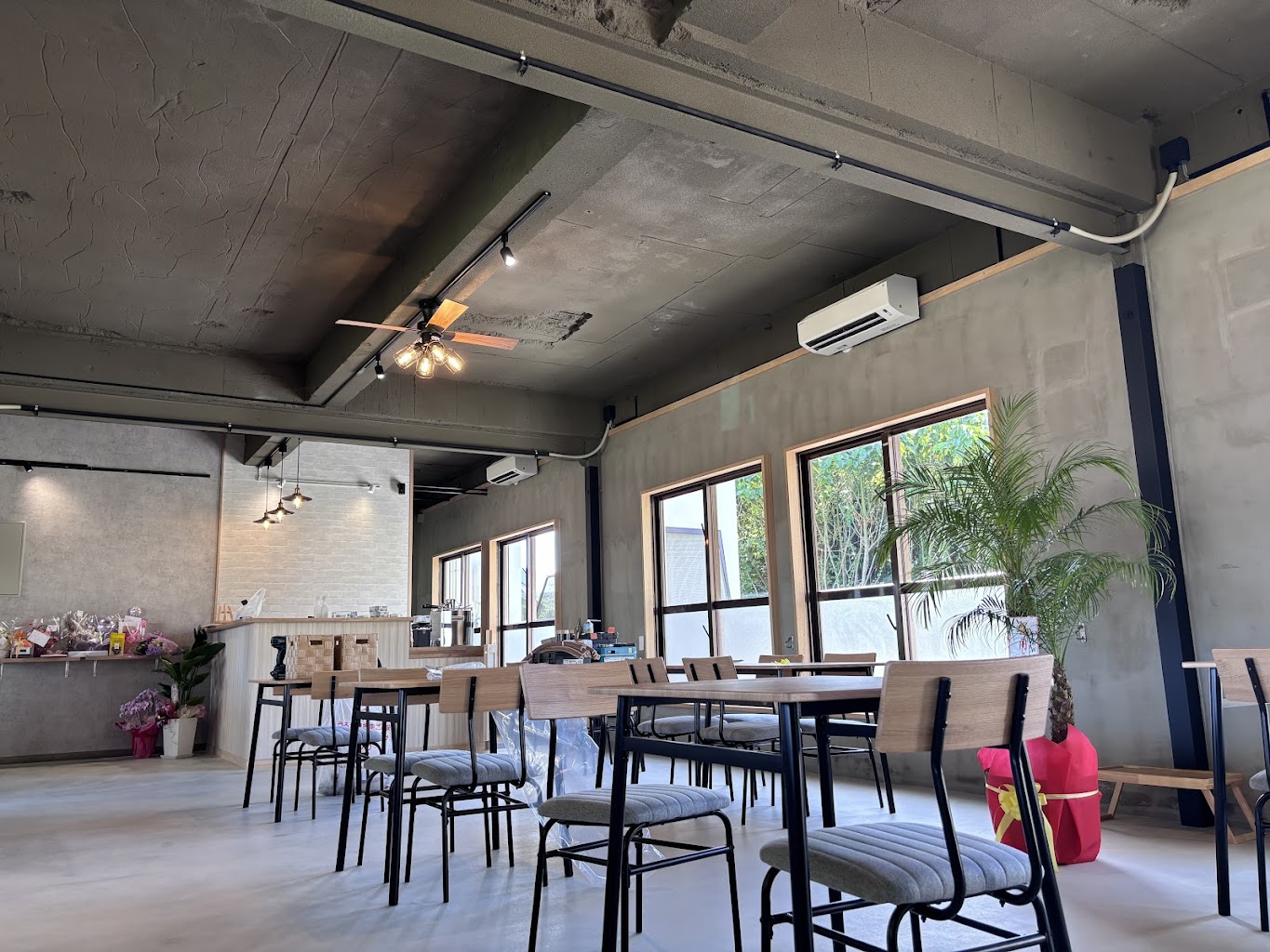 ドッグラン沖縄