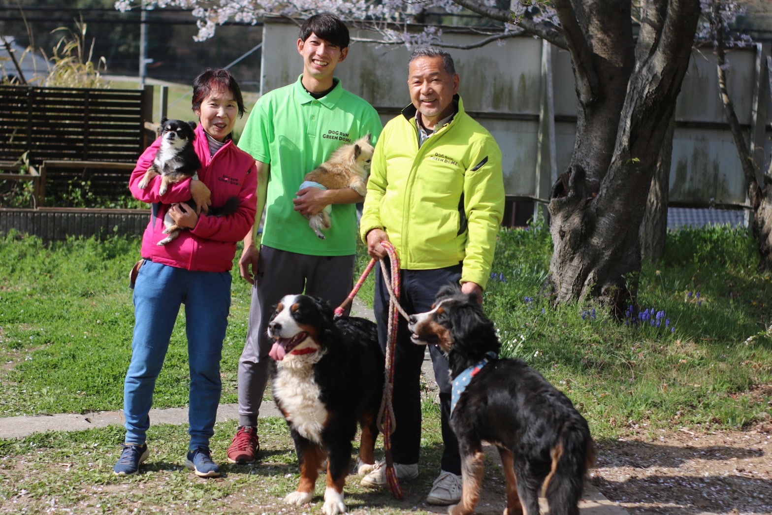 ドッグラン グリーンドーム