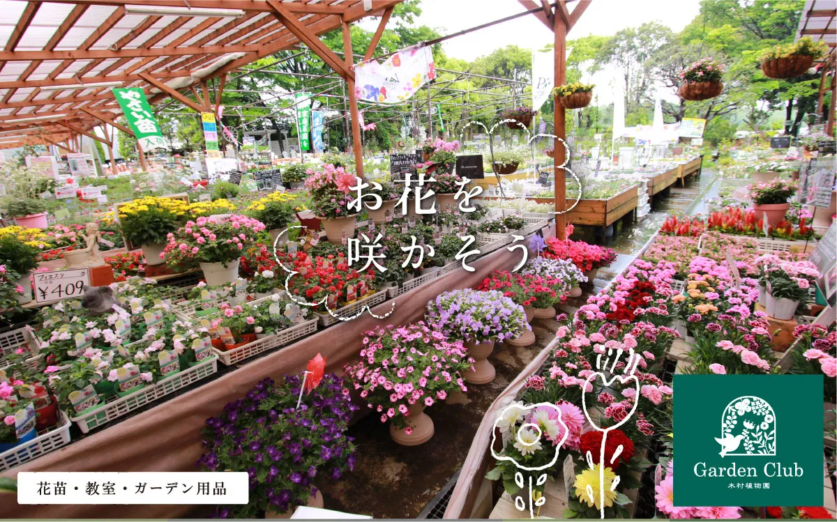 木村植物園 ドッグフォレスト湘南