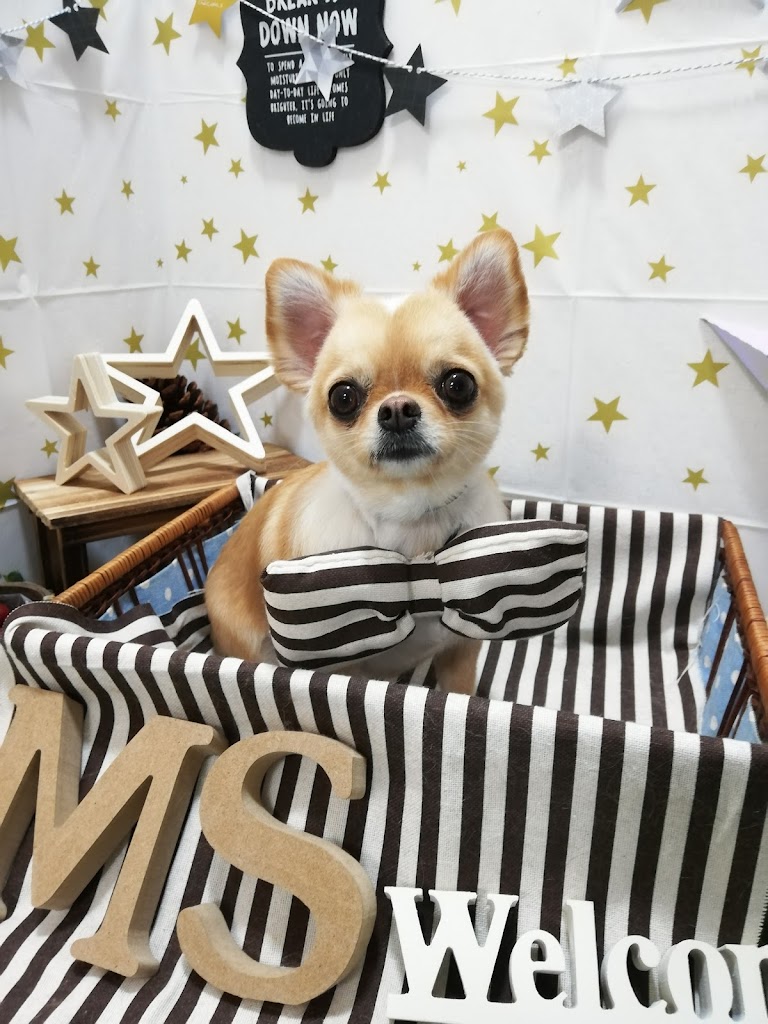 トリミングサロン エムズ