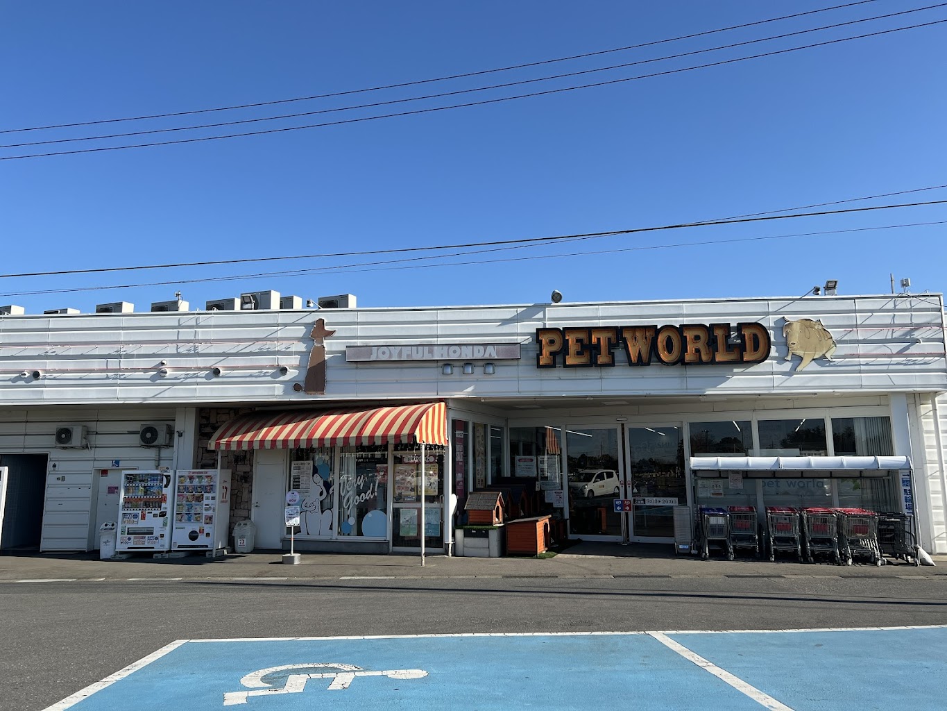 ジョイフル本田守谷店ペットワールド