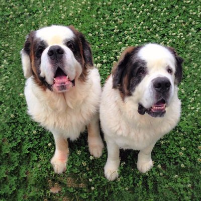 バーナード・スクエア