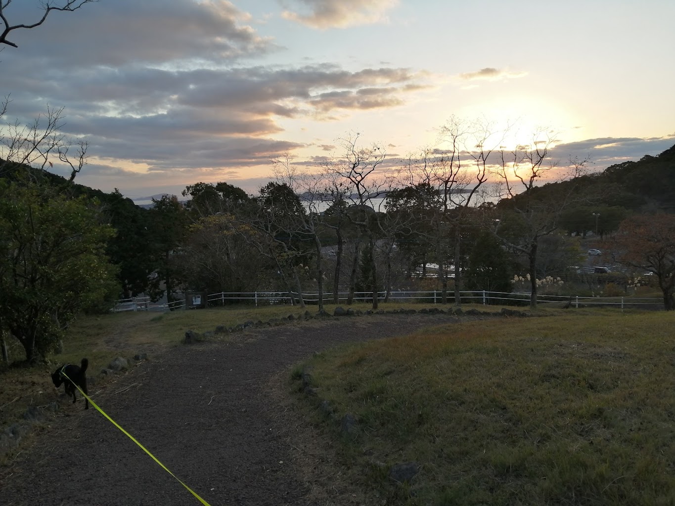 稲佐山公園ドッグラン
