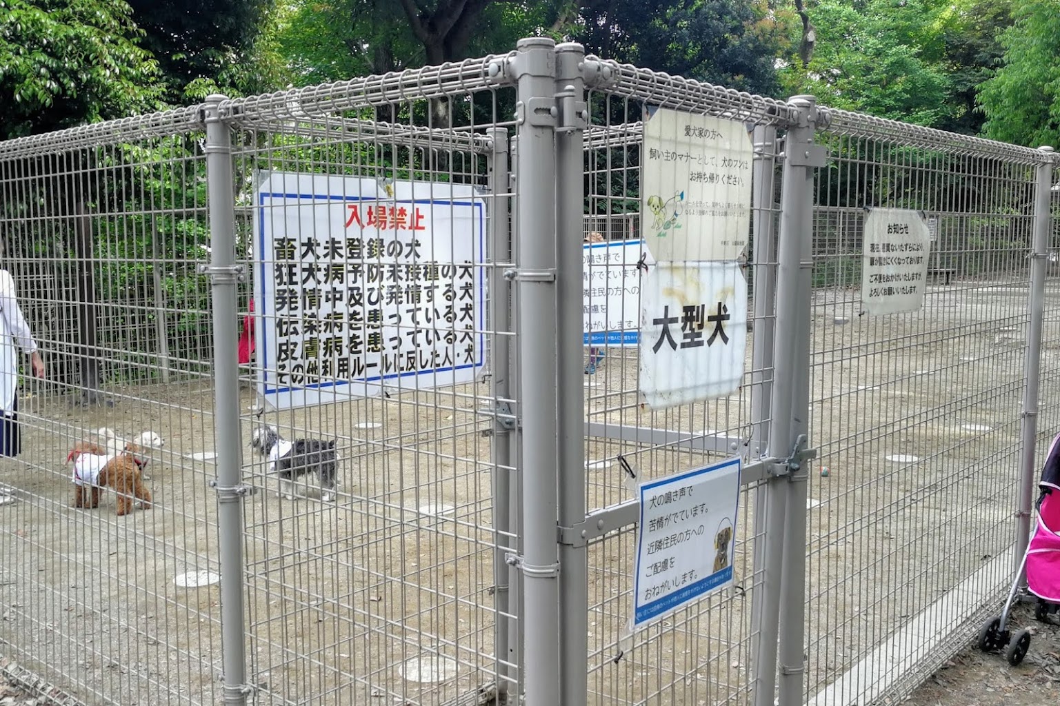 平和の森公園 犬の広場