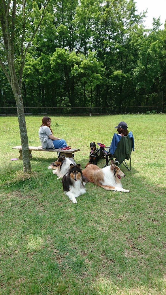 丸塚広場ドッグラン