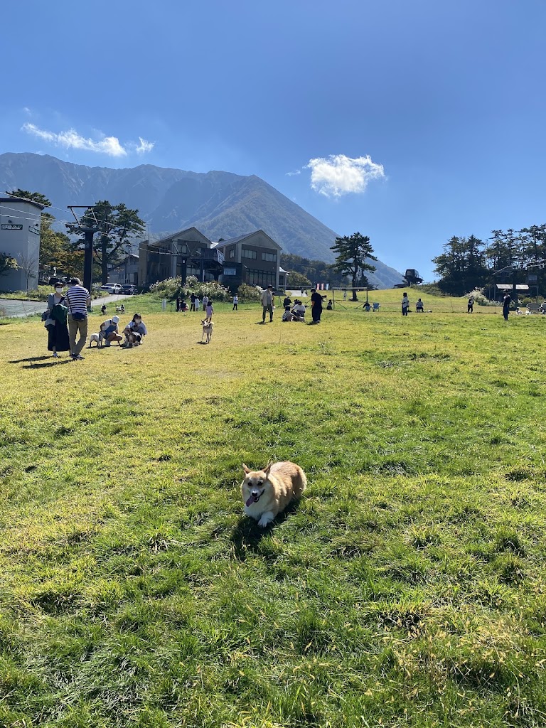 だいせん高原豪円山ロッジ ドッグラン