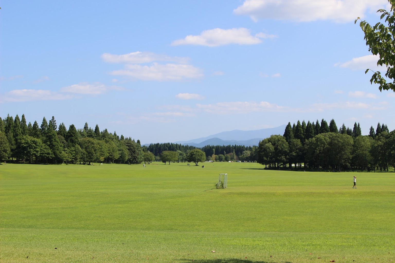 北欧の杜公園 犬の冒険広場