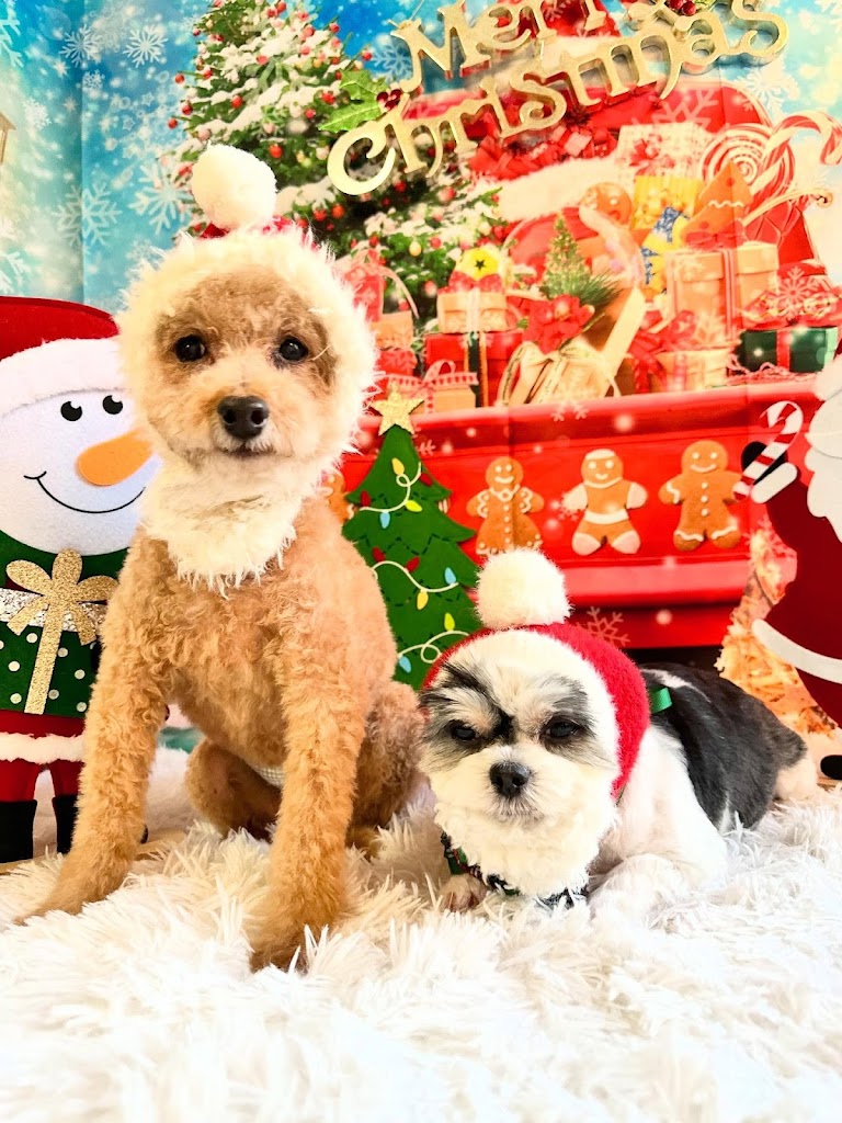 わんニャン・シャンプー山形店