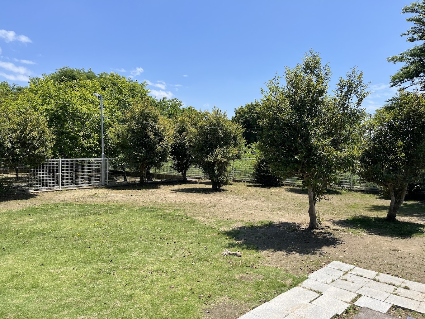 美浜ドッグラン