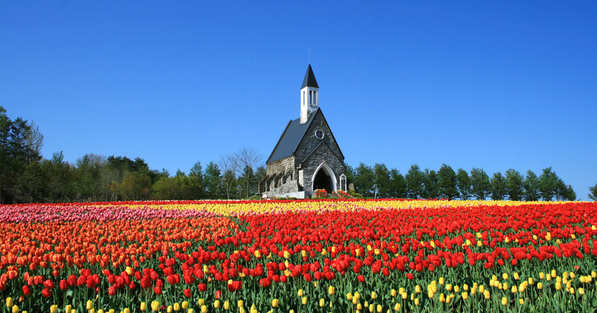 ひるがの高原　牧歌の里　ドッグラン
