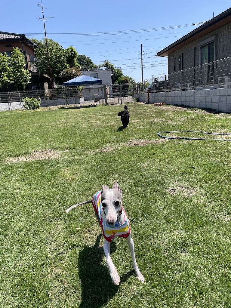 ドッグラン・カフェ＆ドッグホテルわらび