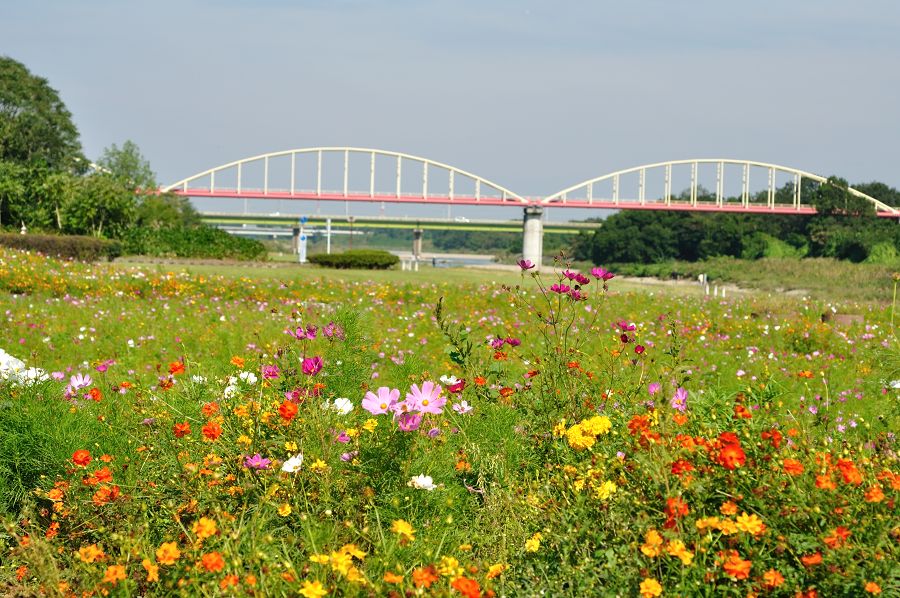 安比奈（あいな）親水公園