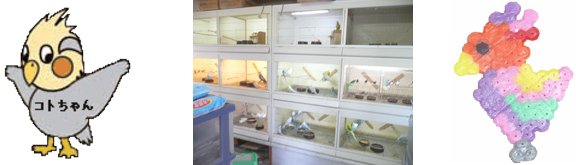 キコリヤドッグラン