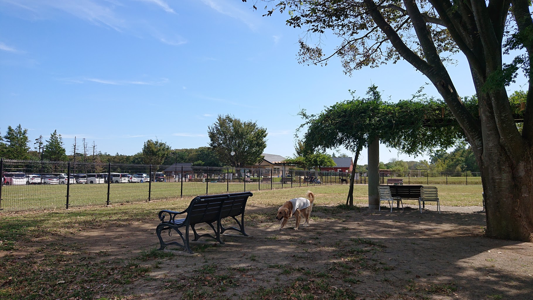 ふなばしアンゼルセン公園ドッグラン