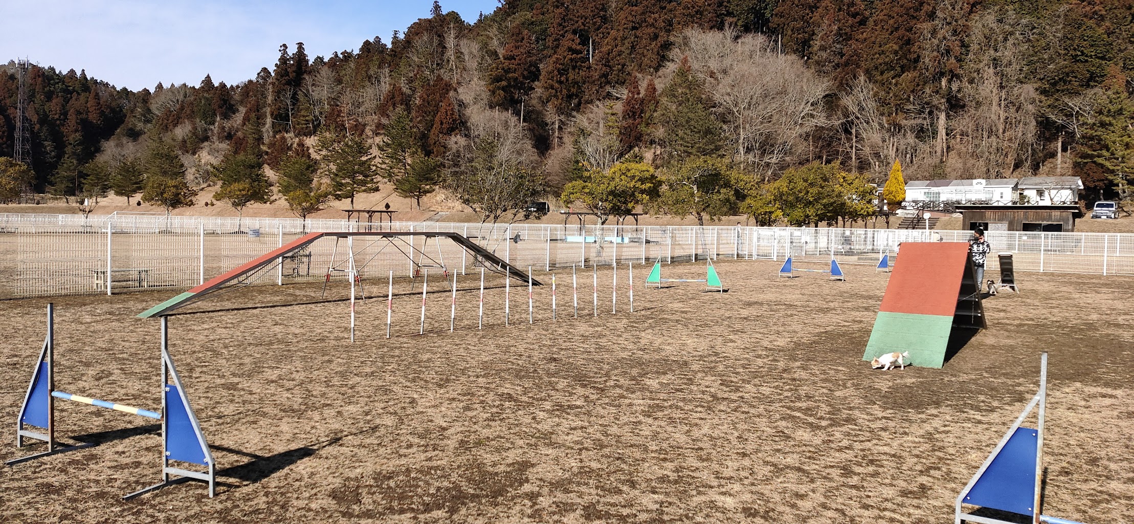 ドギーズパーク滋賀