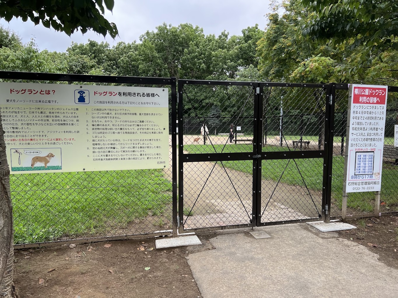 樽川公園　ドッグラン