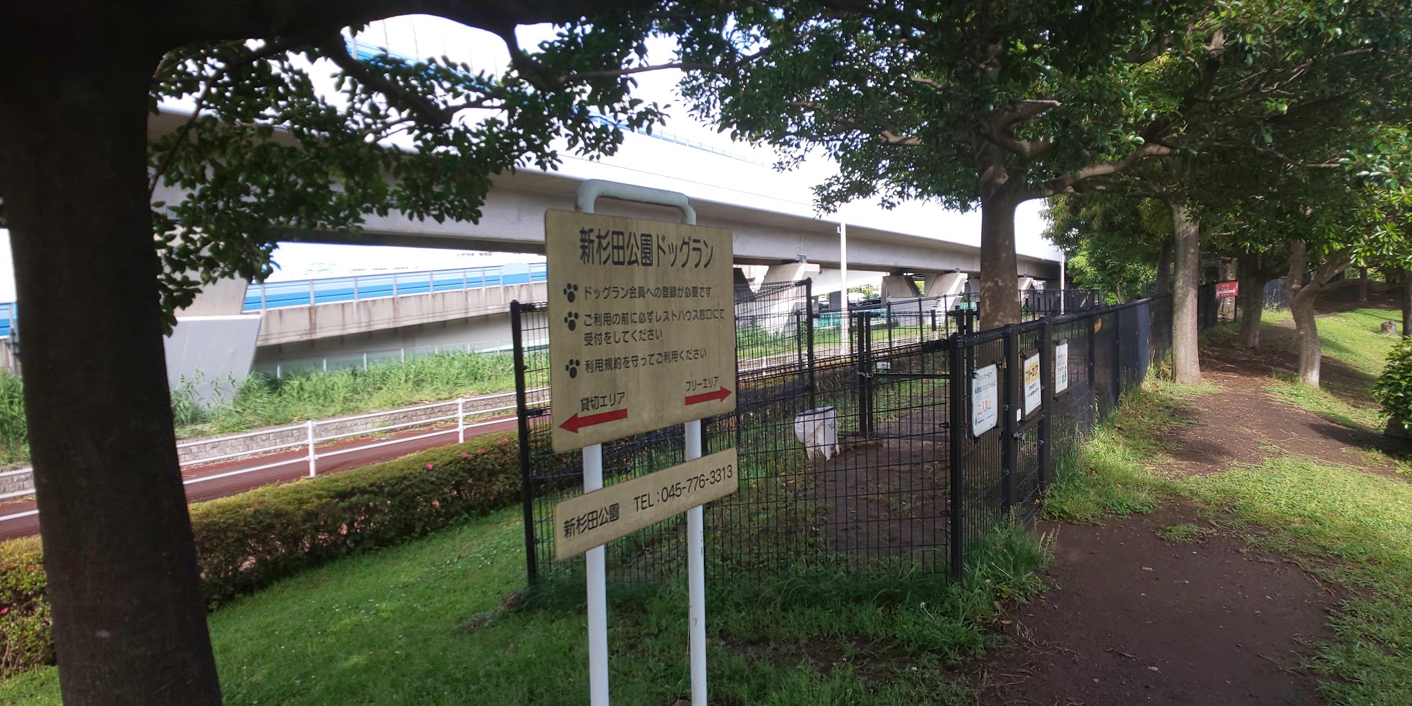 新杉田公園ドッグラン